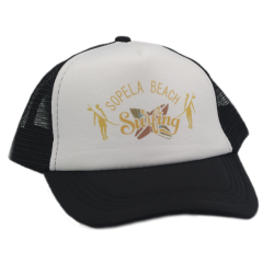 Visera