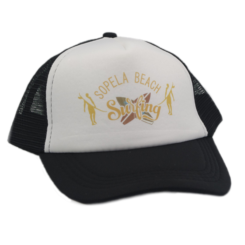 Visera