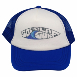 Visera