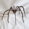Araña guggenheim